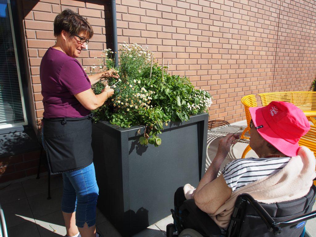 Vapaa-ajan viettoa aurinkoisena kesäpäivänä Leijontuvan pihalla. Työntekijä hoitaa kukkia ja keskustelee asiakkaan kanssa. 