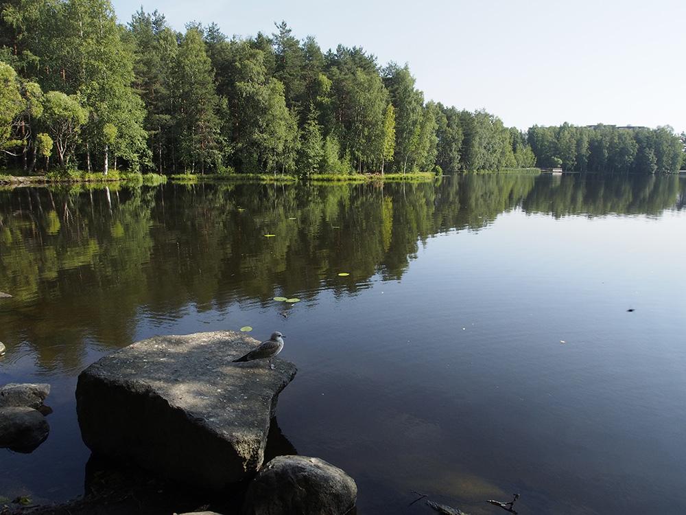 Luontomaisema Hervannassa. Kuvassa Ahvenisjärvi.